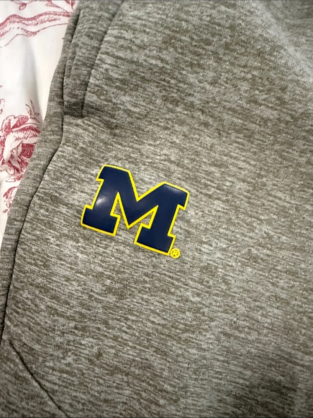 Jordan Gray Joggers with Navy and Yellow Michigan M